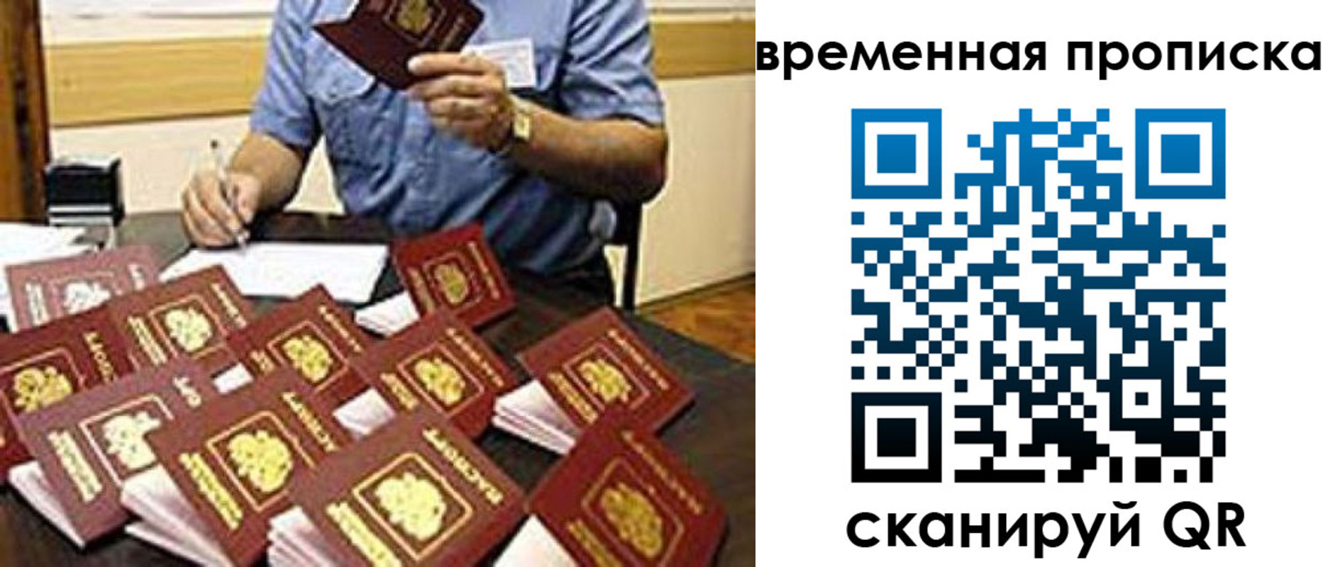 прописка для школы в Данкове